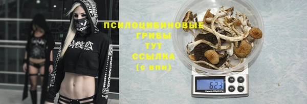 ALPHA PVP Вяземский