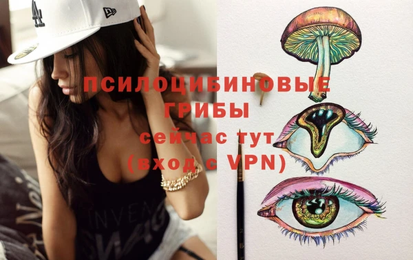 ALPHA PVP Вяземский