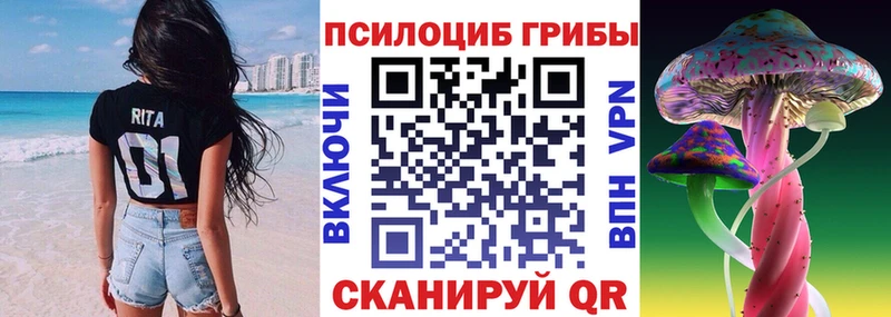 Псилоцибиновые грибы GOLDEN TEACHER  Камбарка 